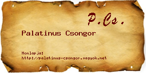 Palatinus Csongor névjegykártya