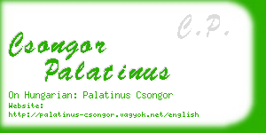 csongor palatinus business card